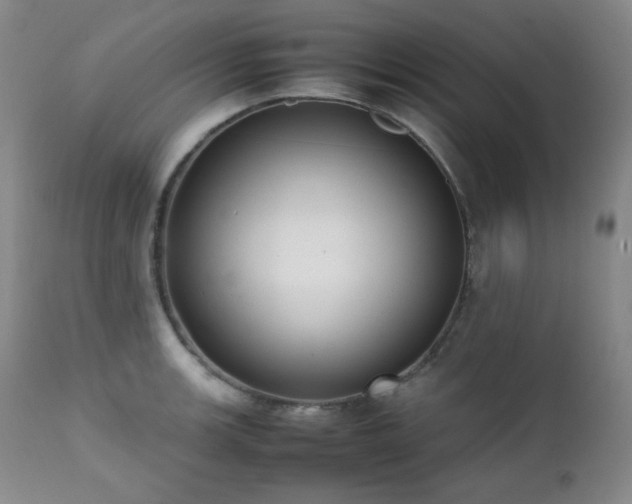 X0000112041139200908031510