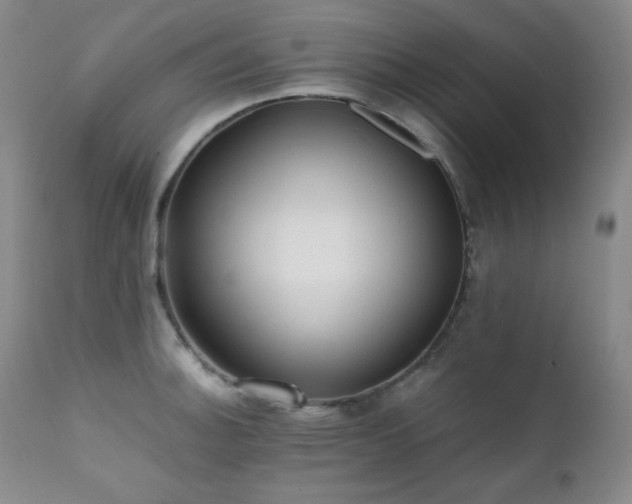 X0000112041140200908031510