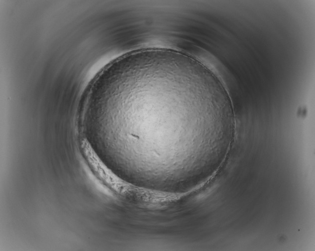X0000112041141200908031510