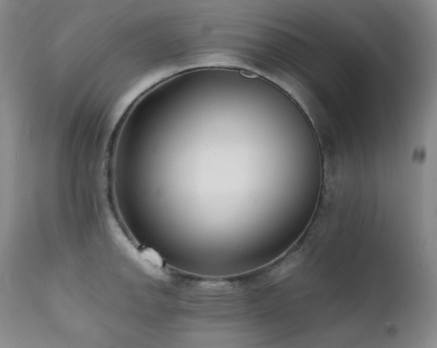 X0000112041142200908031510