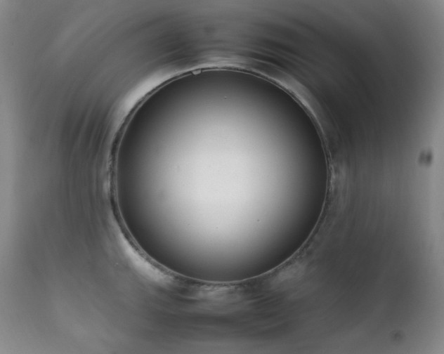 X0000112041143200908031510