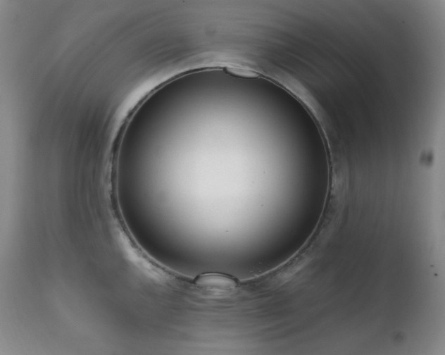 X0000112041144200908031510