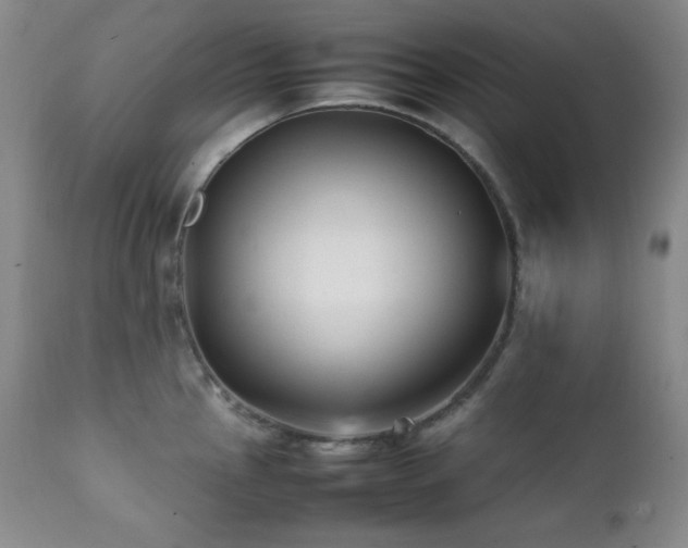 X0000112041145200908031510