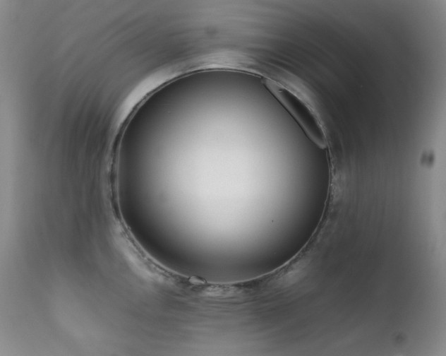 X0000112041146200908031510