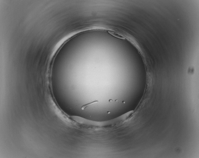 X0000112041148200908031510