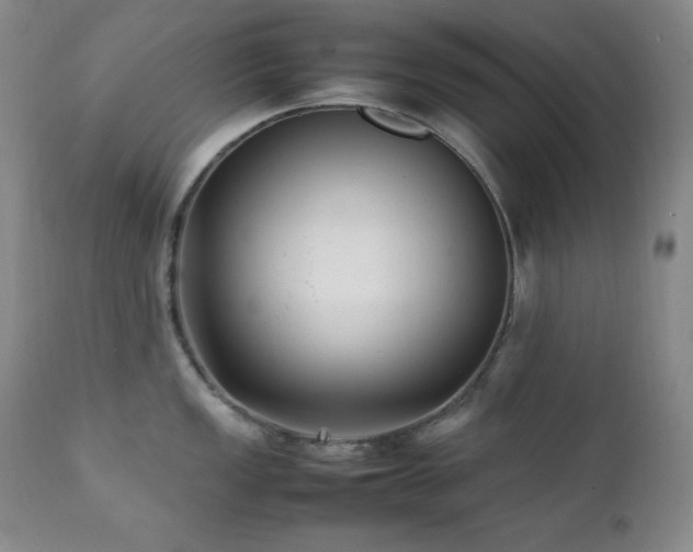 X0000112041149200908031510
