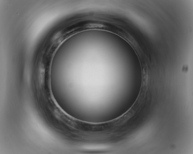 X0000112041151200908031510