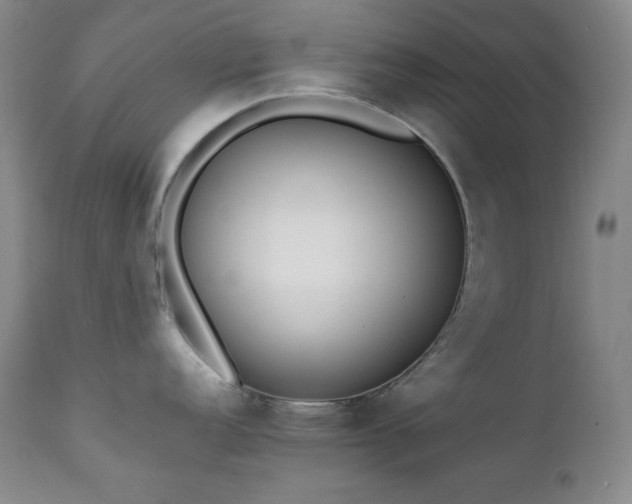 X0000112041152200908031510