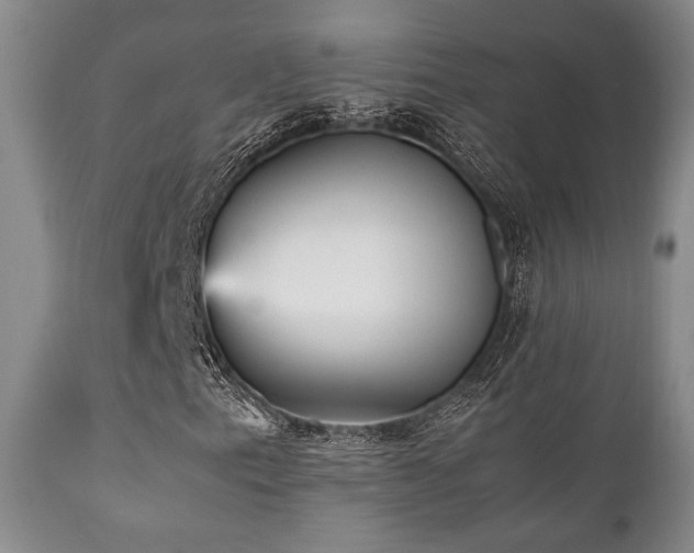 X0000112041153200908031510