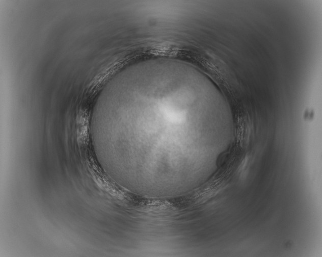 X0000112041154200908031510