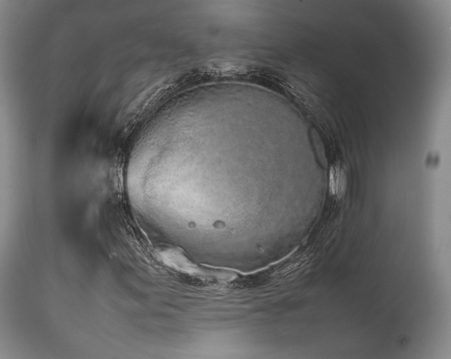 X0000112041155200908031510