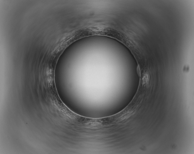 X0000112041156200908031510