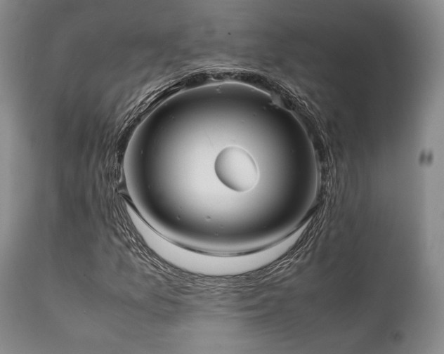 X0000112041157200908031510
