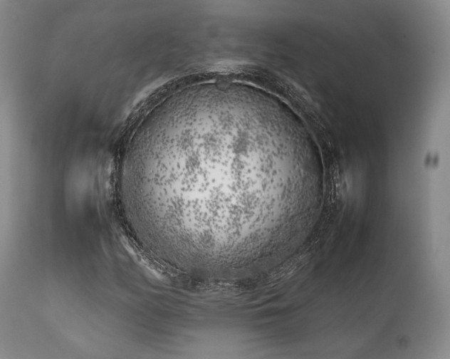 X0000112041158200908031510