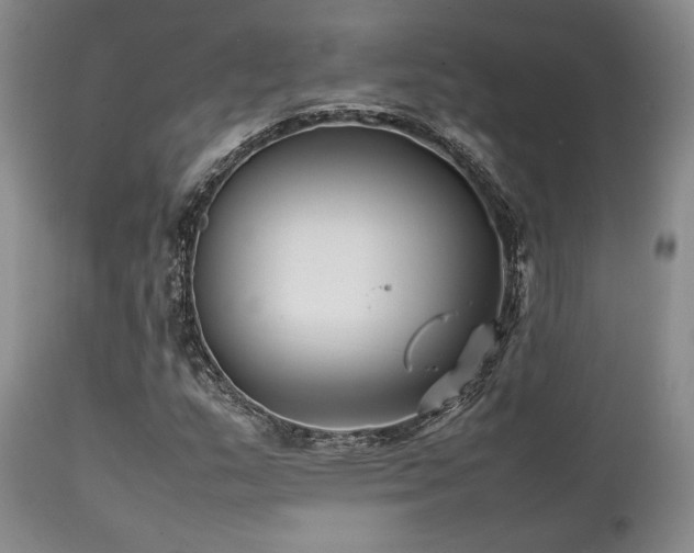 X0000112041159200908031510