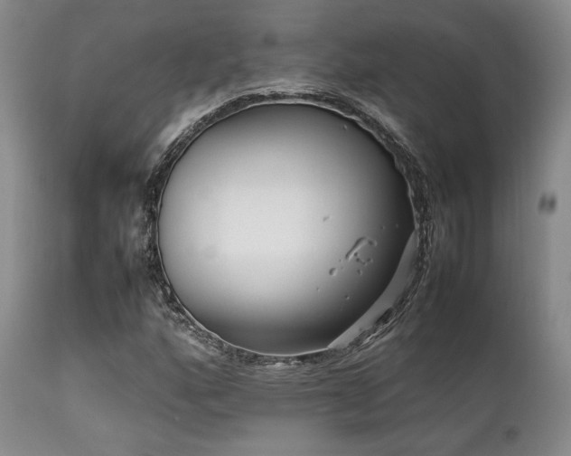 X0000112041160200908031510