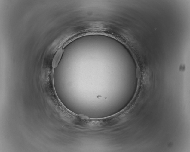 X0000112041161200908031510