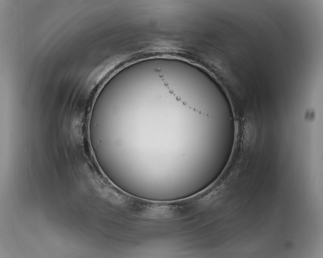 X0000112041162200908031510