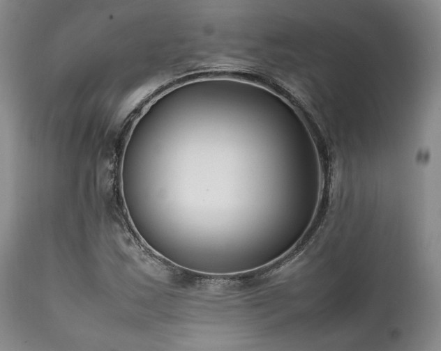 X0000112041163200908031510