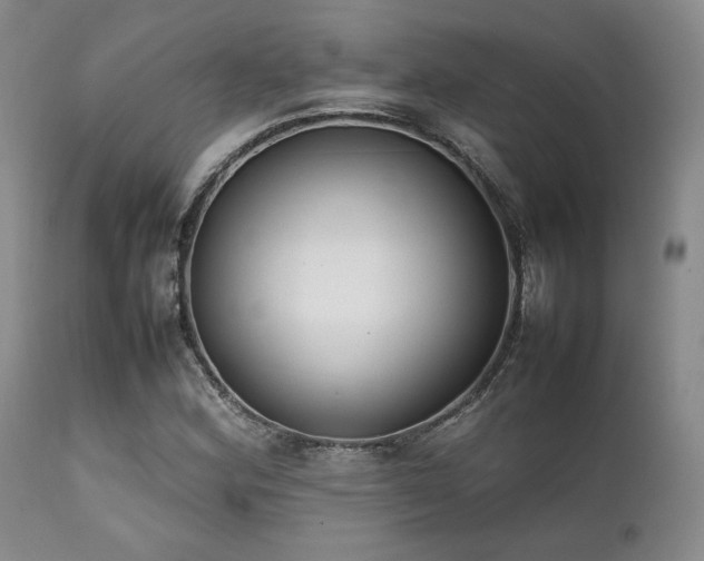 X0000112041164200908031509