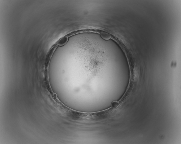 X0000112041165200908031509
