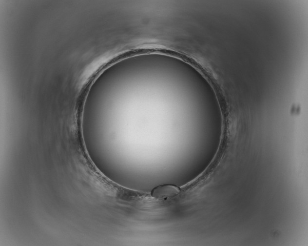 X0000112041167200908031509