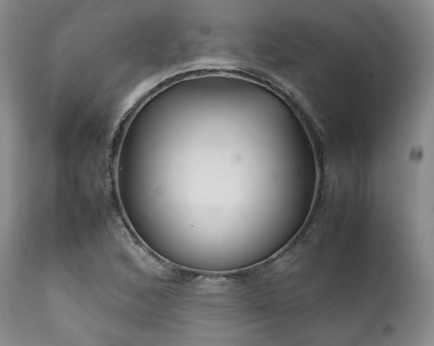 X0000112041168200908031509