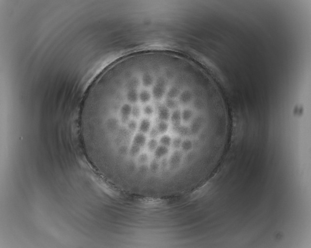X0000112041170200908031509