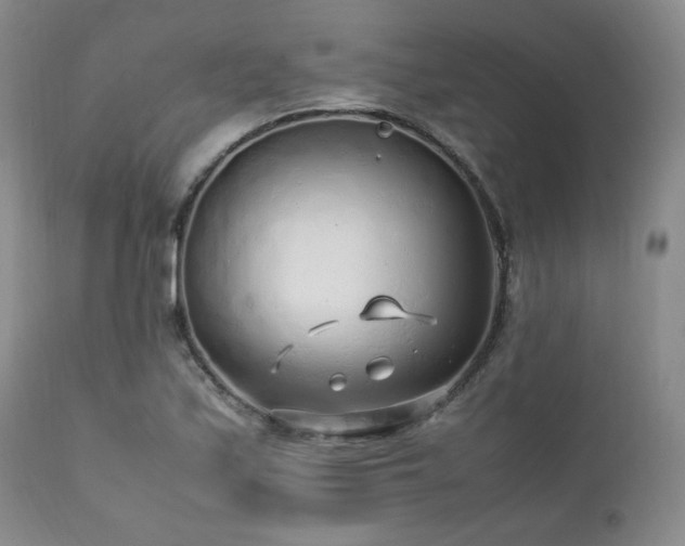 X0000112041171200908031509