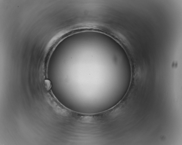 X0000112041172200908031509