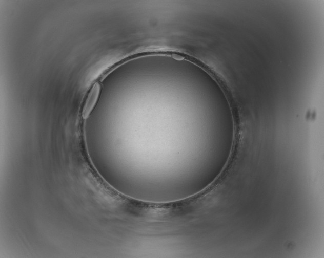X0000112041173200908031509