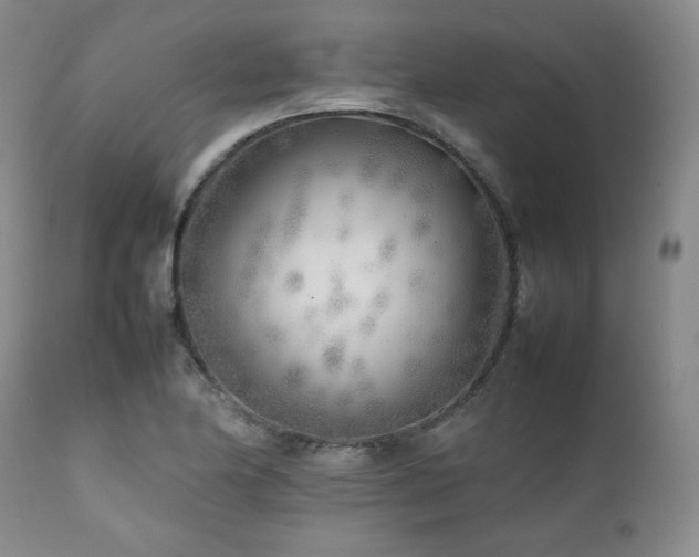X0000112041174200908031509
