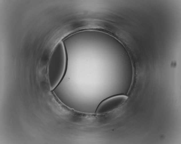 X0000112041177200908031509