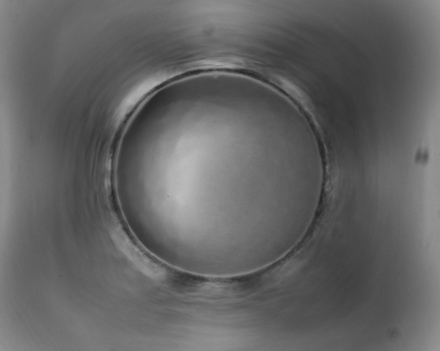 X0000112041179200908031509
