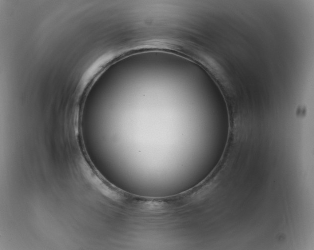 X0000112041180200908031509