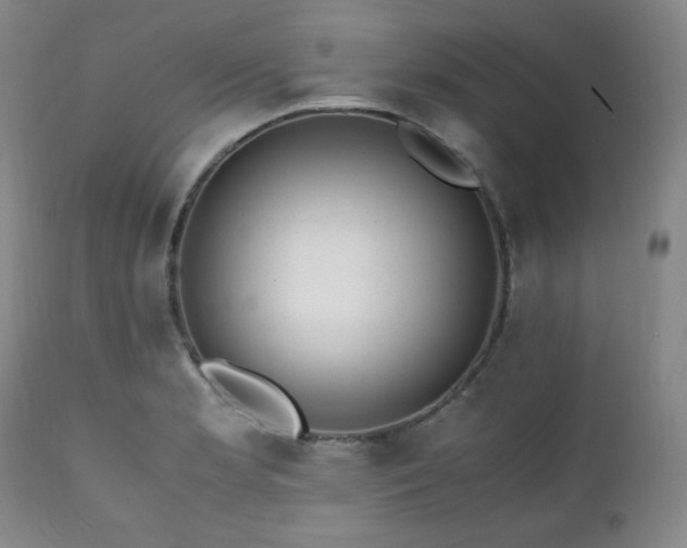 X0000112041181200908031509