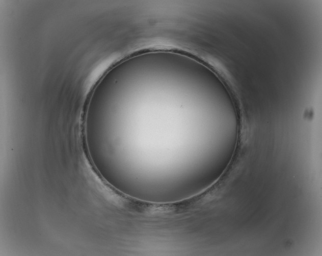 X0000112041183200908031509