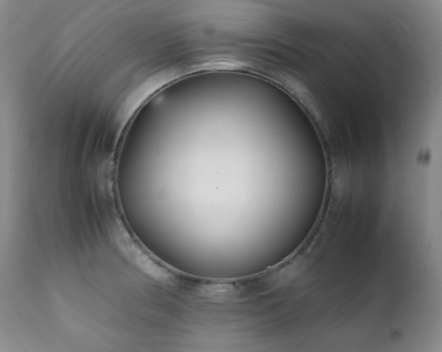 X0000112041186200908031509