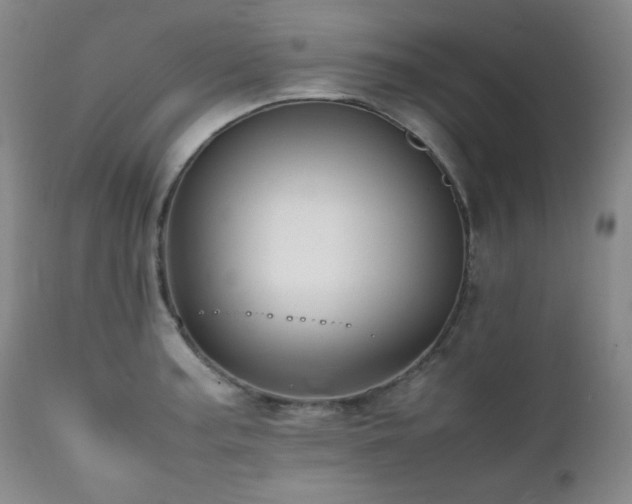 X0000112041187200908031509
