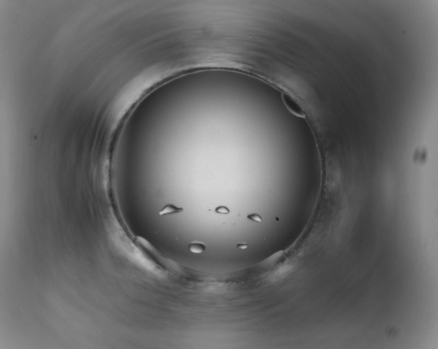X0000112041188200908031509