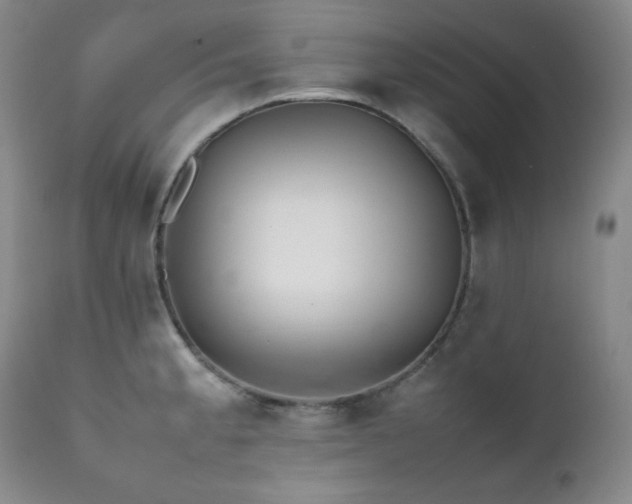 X0000112041189200908031509
