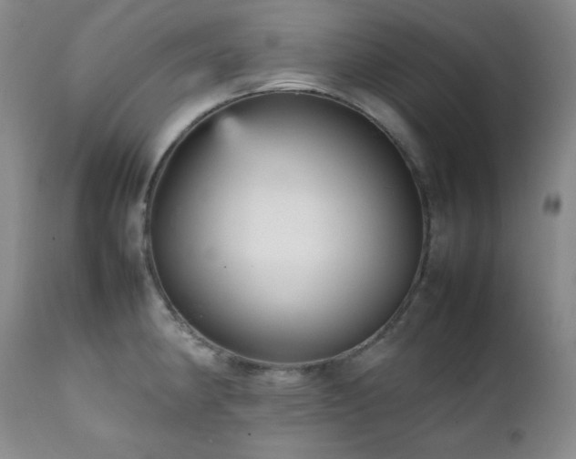 X0000112041190200908031509