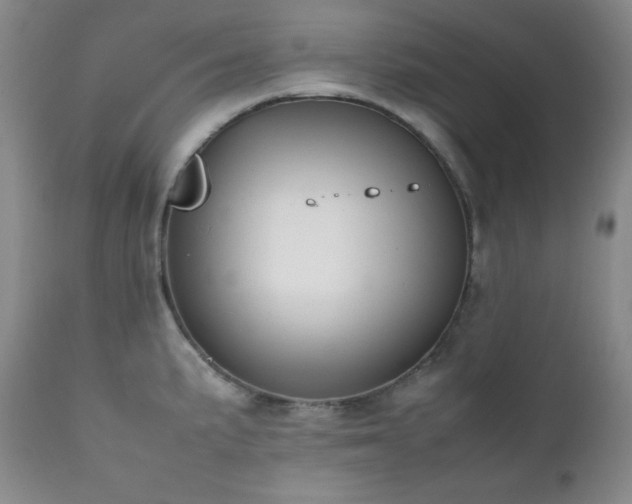 X0000112041191200908031509