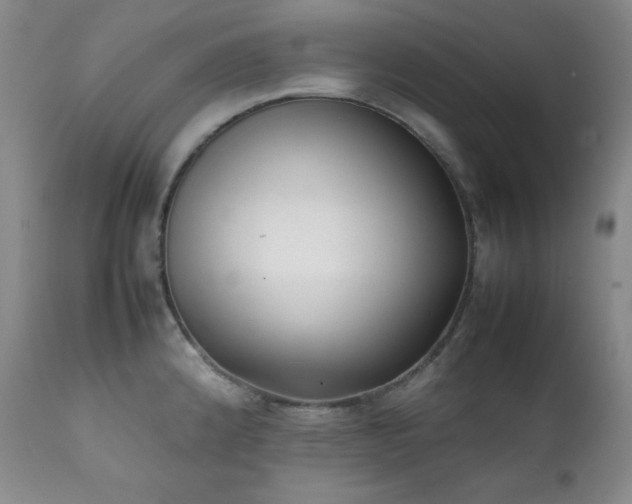 X0000112041192200908031509