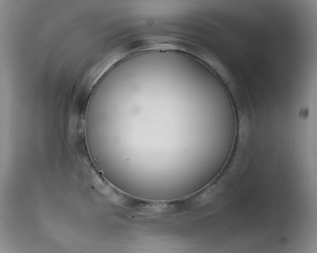 X0000112041193200908031509