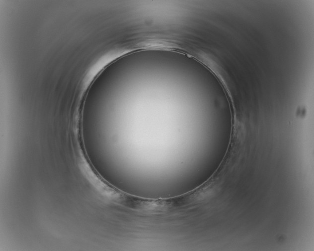 X0000112041195200908031509