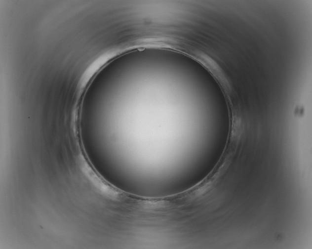 X0000112041196200908031509