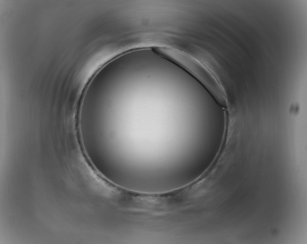 X0000112041197200908031509