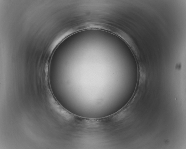 X0000112041198200908031509