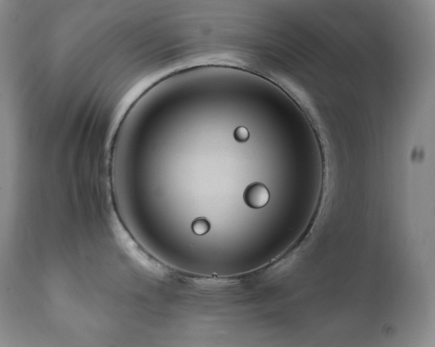 X0000112041200200908031509